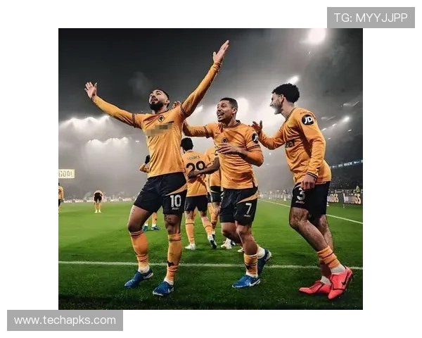 英超狼队伤病潮