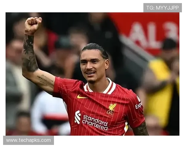 挪威队努涅斯锋线搭档